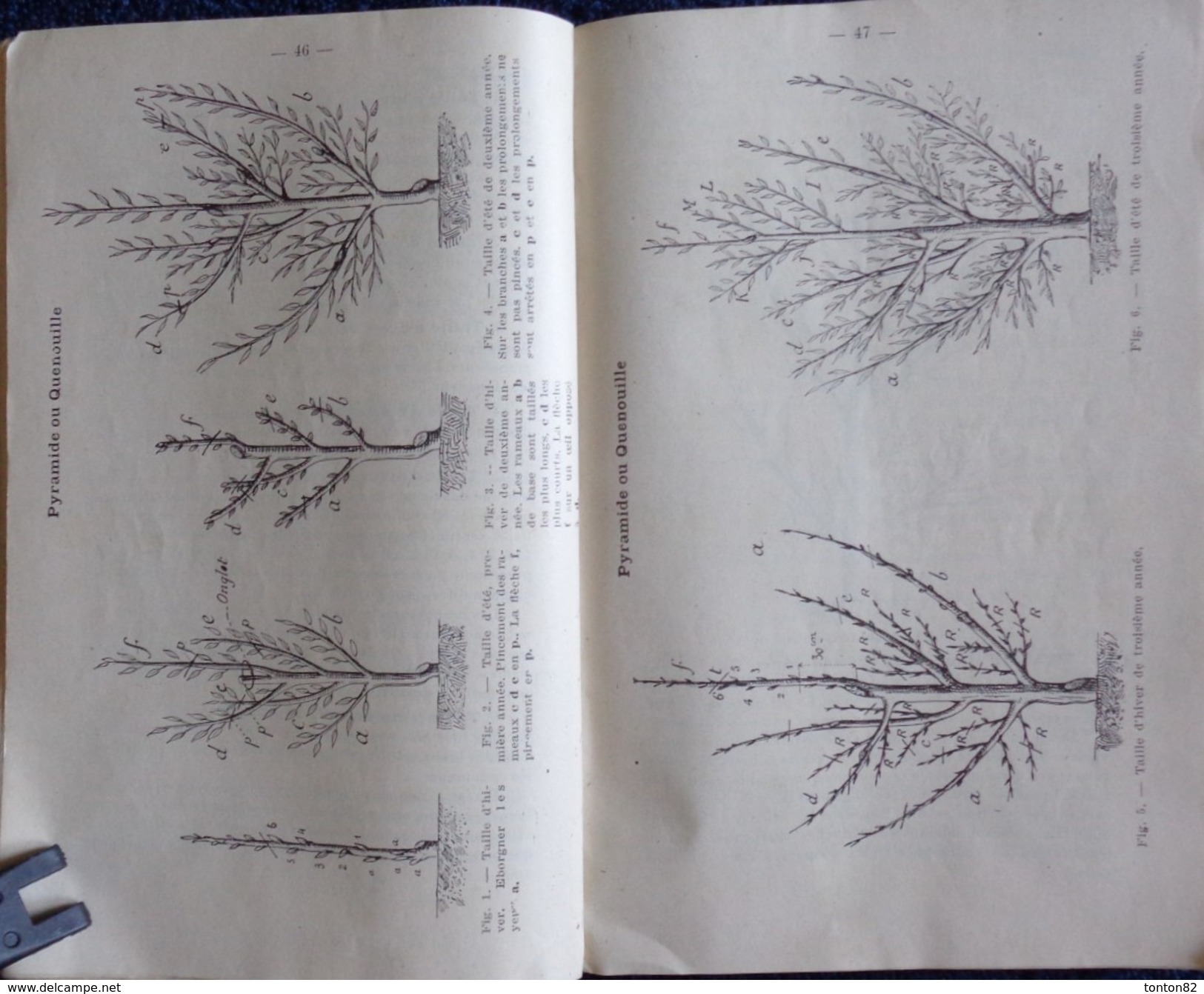 E. Déaux - La TAILLE Des ARBRES FRUITIERS à La Portée De Tous - Les Éditions Gutenberg - ( 1946 ) . - Garden