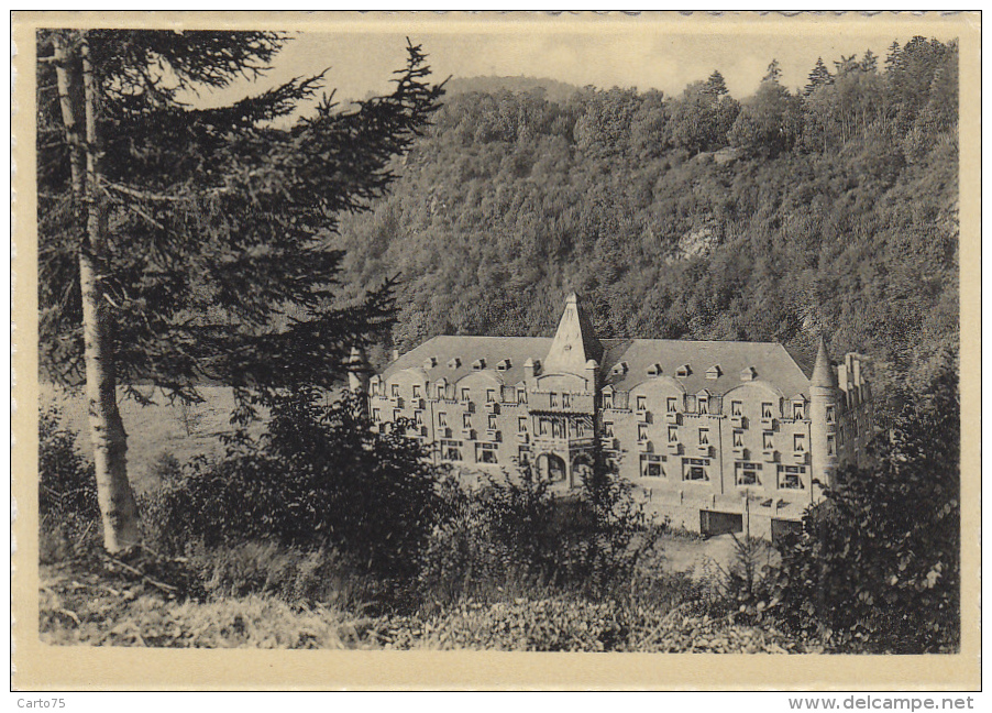 Belgique - La Roche En Ardenne - Grand Hôtel Des Bains - "Le Palace Des Ardennes" - Editions Arduenna - La-Roche-en-Ardenne