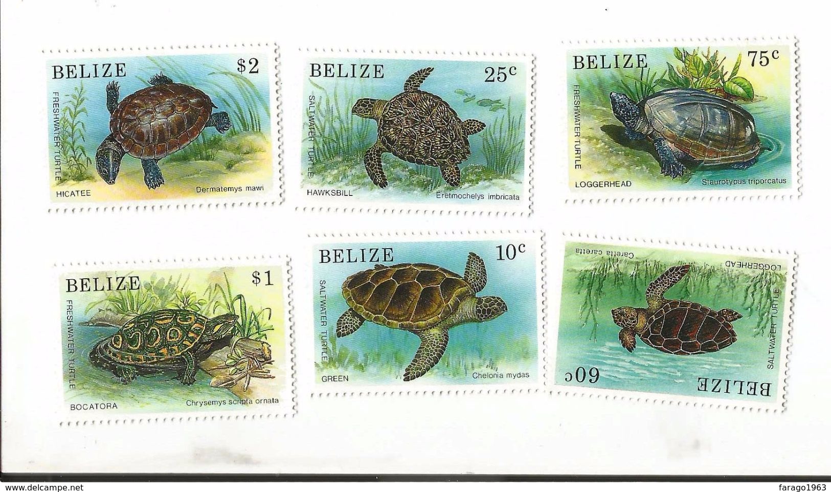 1990 Belize Sea Turtles Complete Set Of 6  MNH - Belize (1973-...)