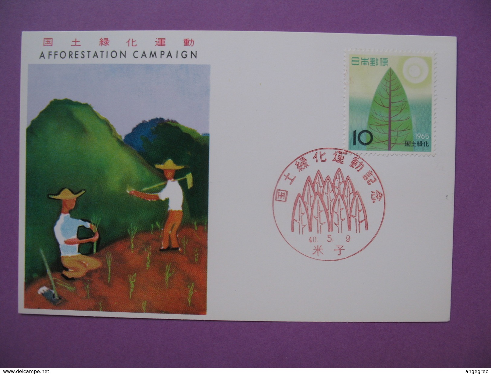 Japon  Carte-Maximum   Japan Maximum Card  1965  Yvert & Tellier    N° 801 - Tarjetas – Máxima