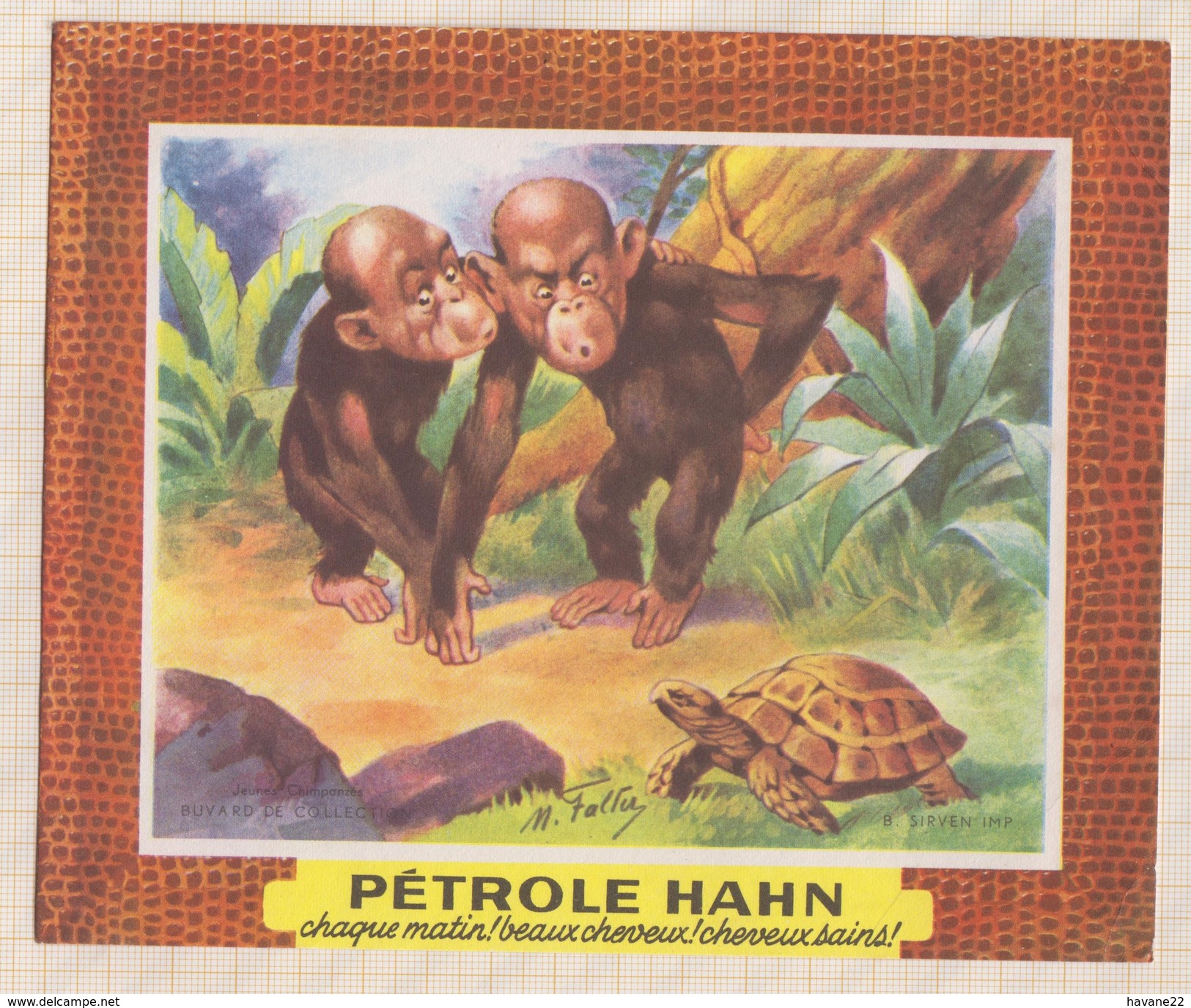 842 BUVARD  PETROLE HAHN ILLUSTRATEUR SINGES TORTUE - Parfums & Beauté