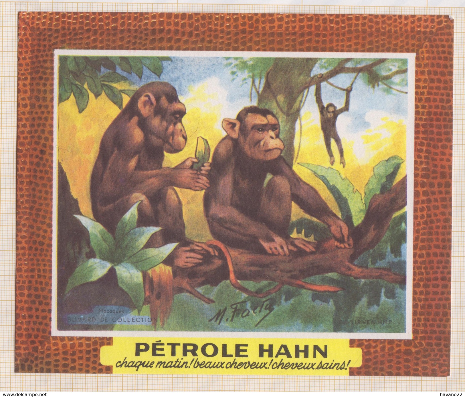 843 BUVARD  PETROLE HAHN ILLUSTRATEUR SINGES MACAQUES - Parfums & Beauté