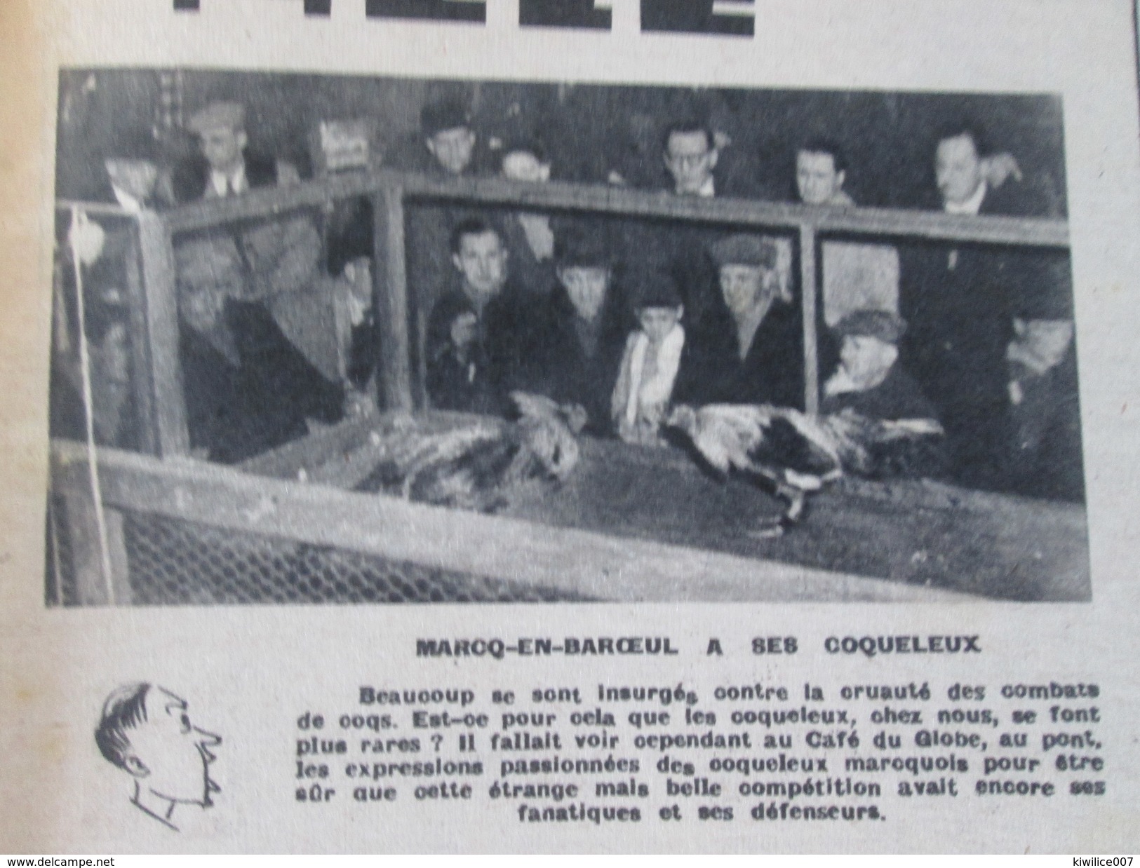 1951  Combats De Coqs à Marcq En Baroeul   Coqueleux - Marcq En Baroeul