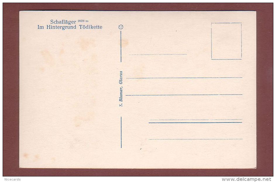 Glarus - SCHAFLÄGER - Im Hintergrund Tödikette - Autres & Non Classés