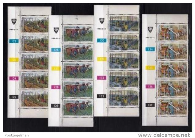 VENDA, 1980, Mint Never Hinged Stamps In Control Blocks, MI 26-29, Tea Cultivations, X303 - Venda