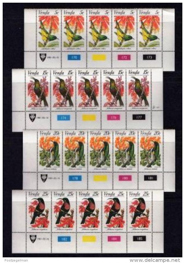 VENDA, 1981, Mint Never Hinged Stamps In Control Blocks, MI 38-41, Sunbirds, X306 - Venda