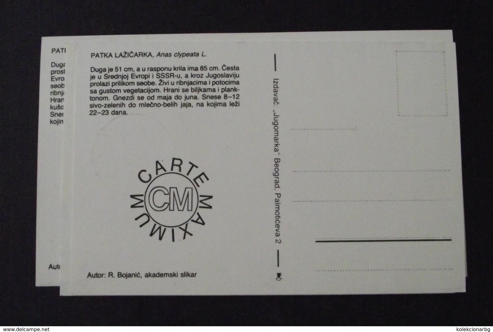 1124. Zasticene Zivotinjske Vrste 1989. Maximum Card - Cartes-maximum