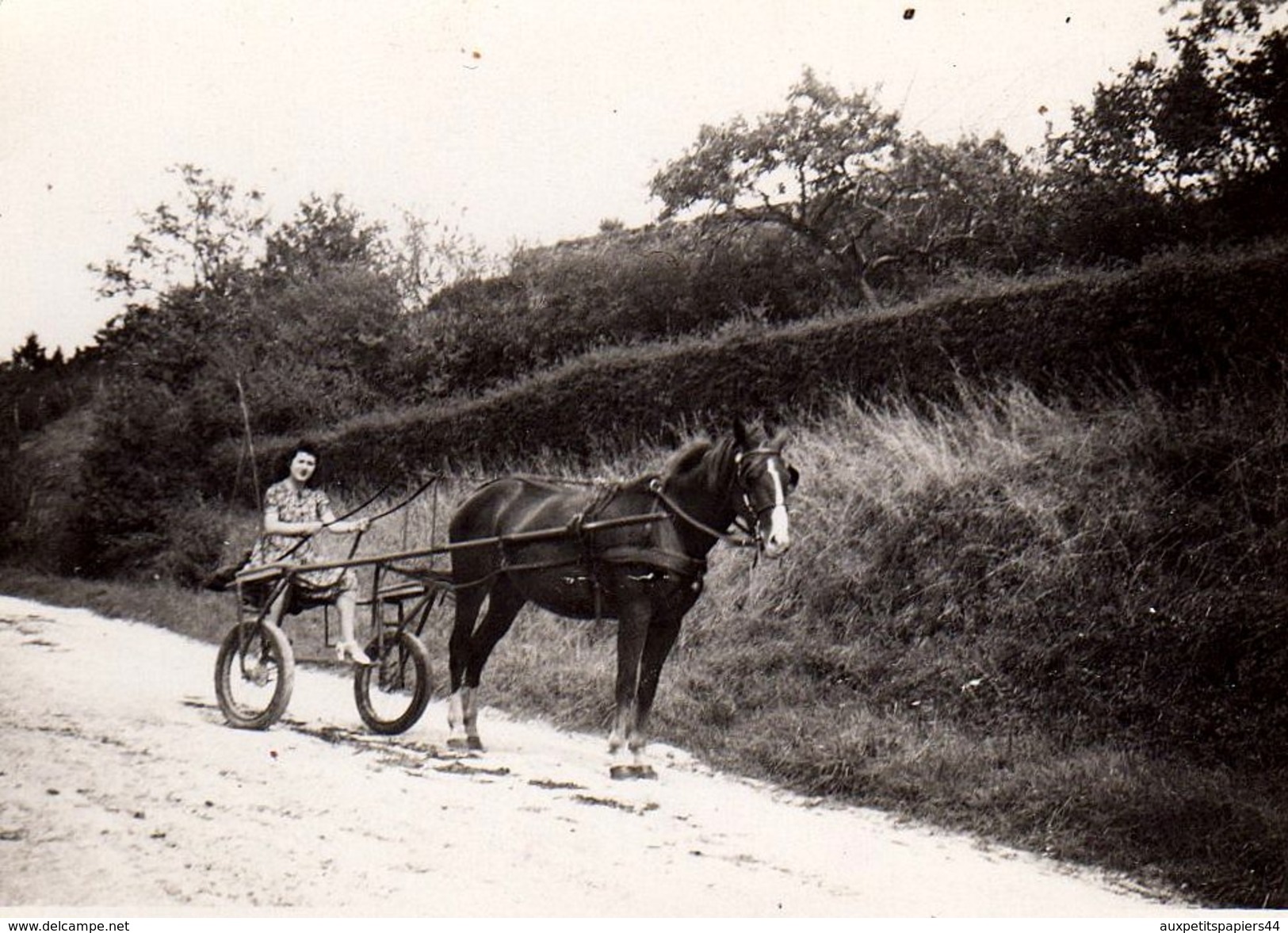 Photo Originale Pin-up Sur Sa Voiture D'attelage 2 Roues En Ballade, Voiture Hippomobile - Pin-up