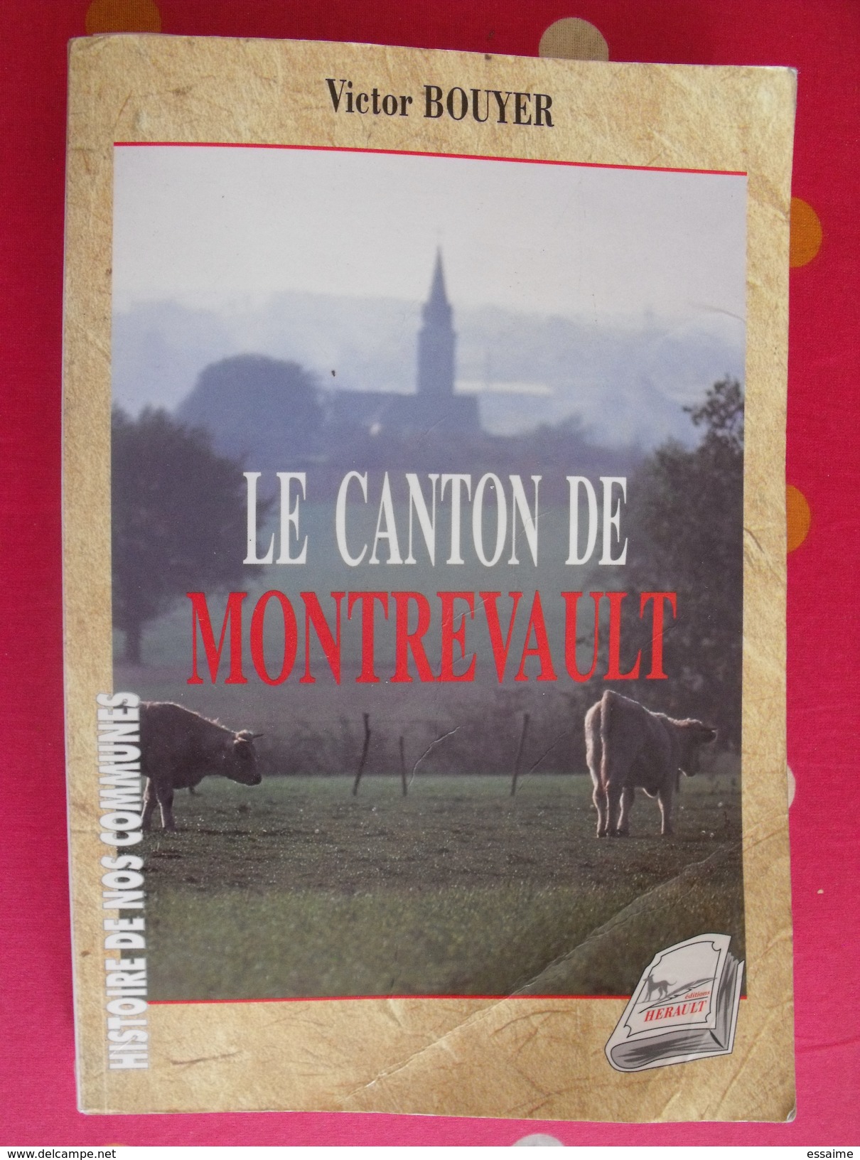 Le Canton De Montrevault. Victor Bouyer. Anjou. Illustré De Cartes Postales Anciennes. 1997 - Pays De Loire