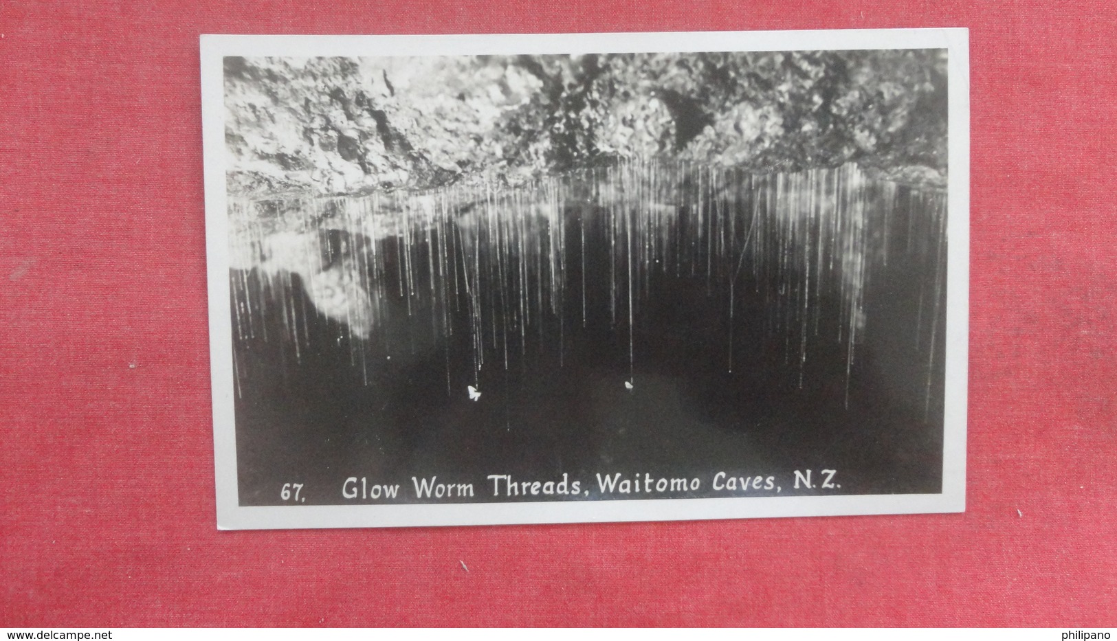 RPPC  Glow Worm Threads Waitomo Caves New Zealand    Ref 2660 - New Zealand