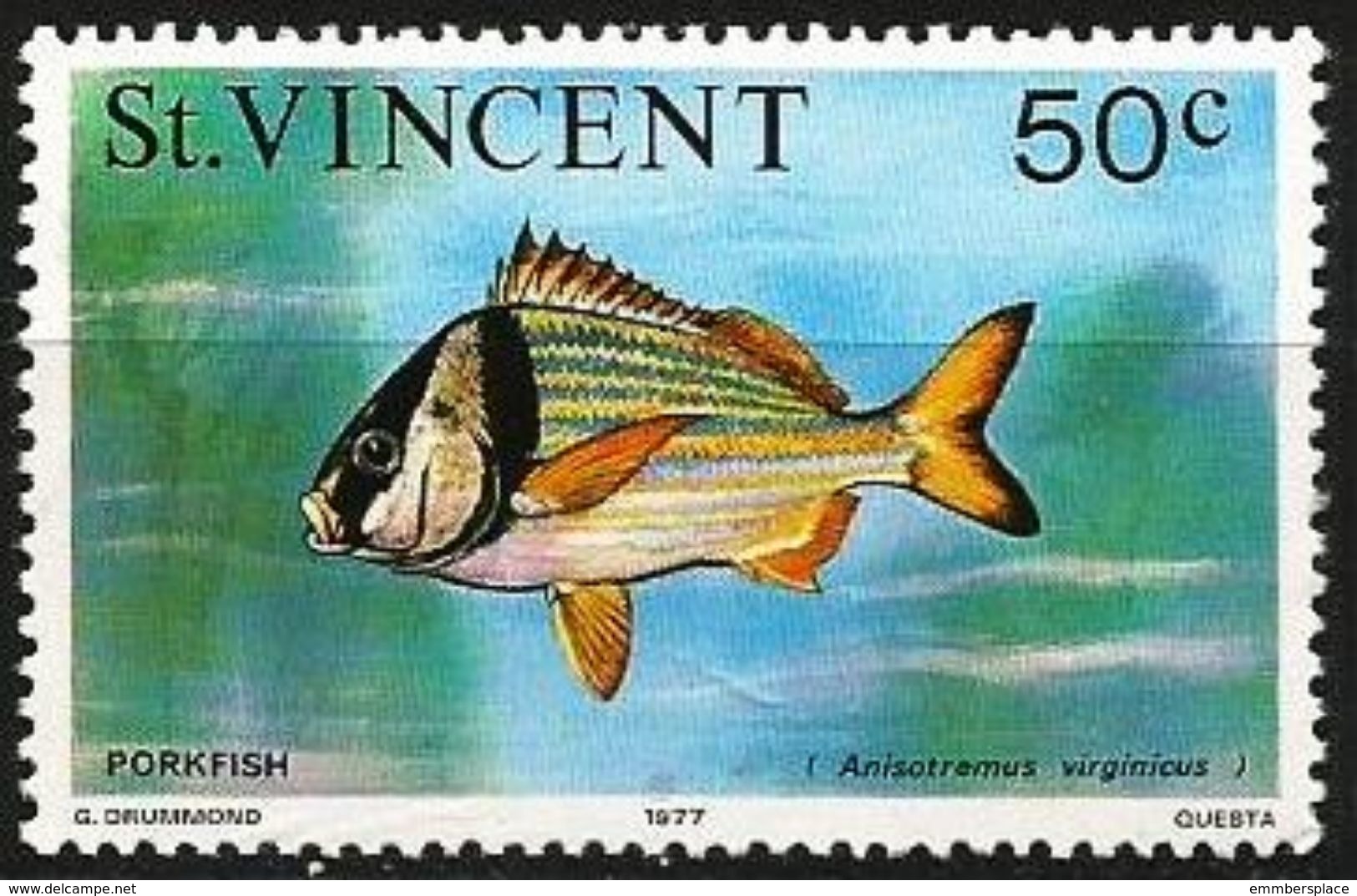 St Vincent  - 1977 Porkfish 50c MNH **   Sc 421 (1977 Imprint Date) - St.Vincent (...-1979)