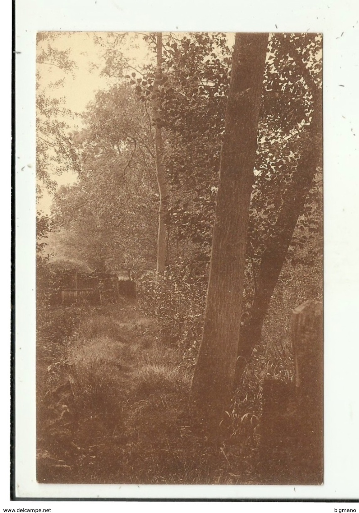 Overmeire - Donck ( Overmere ) : Lac Et Sentier De La Canadière - Berlare