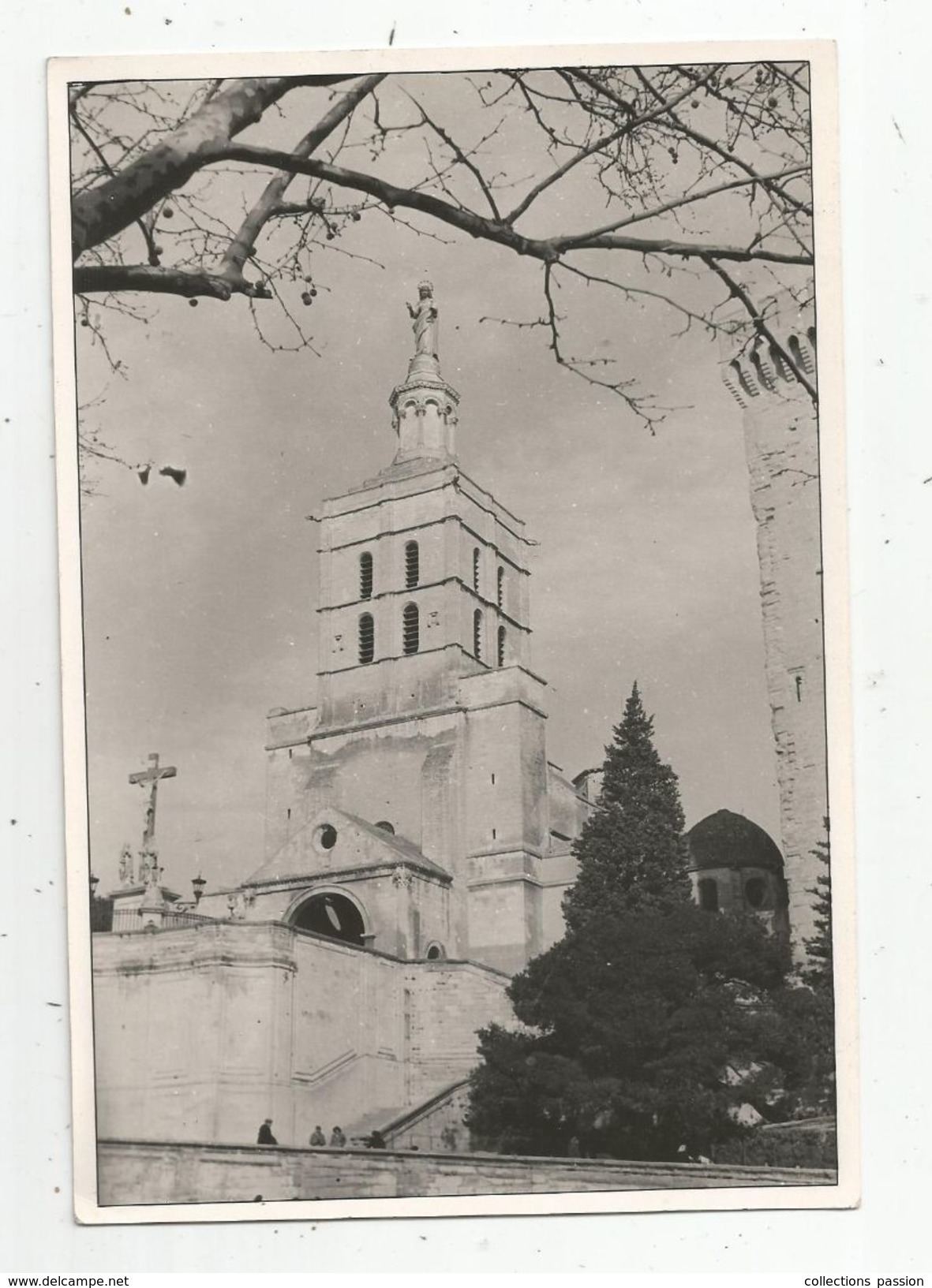 Photographie , 19.5 X 13.5 , Cathédrale D'Avignon , église  ,  Frais Fr : 1.45 Euros - Lugares