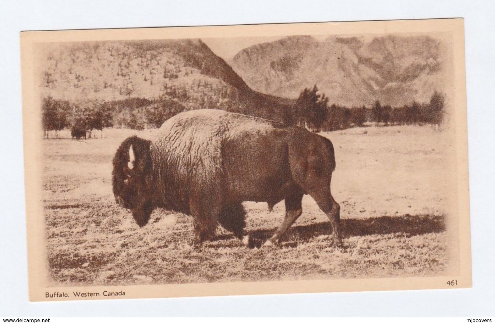 1930 CANADA GV 2c STATIONERY VIEW Illus BUFFALO Animal  WESTERN CANADA Postal Card Cover Stamps - 1903-1954 Kings