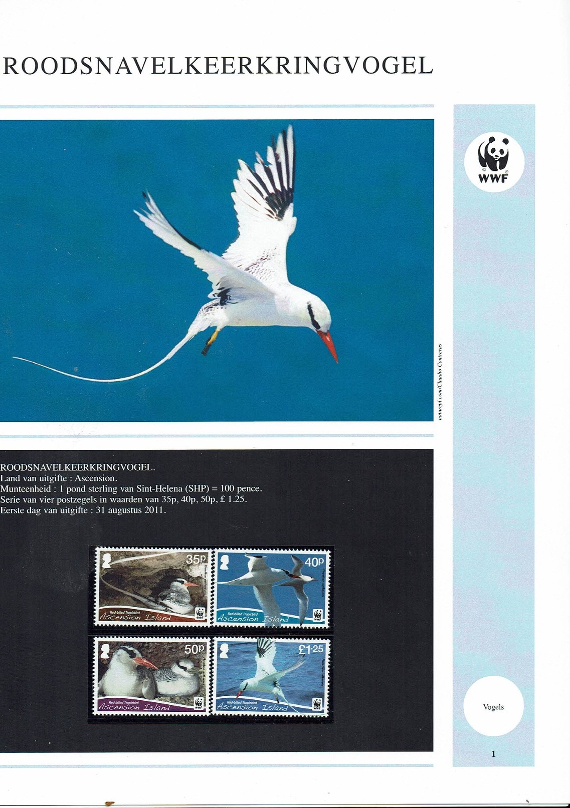 WWF Red Billed Tropic Bird/ Roodsnavel Keerkringvogel 4 Stamps And 4 Fdc's Complete Set Of 8 Pages (13869) - Ascensión