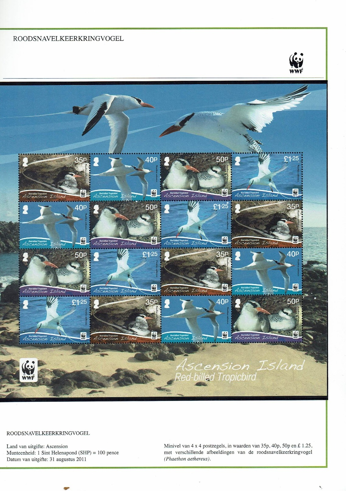 WWF Red Billed Tropic Bird/ Roodsnavel Keerkringvogel Sheet Of 16 Stamps (13870) - Ascension