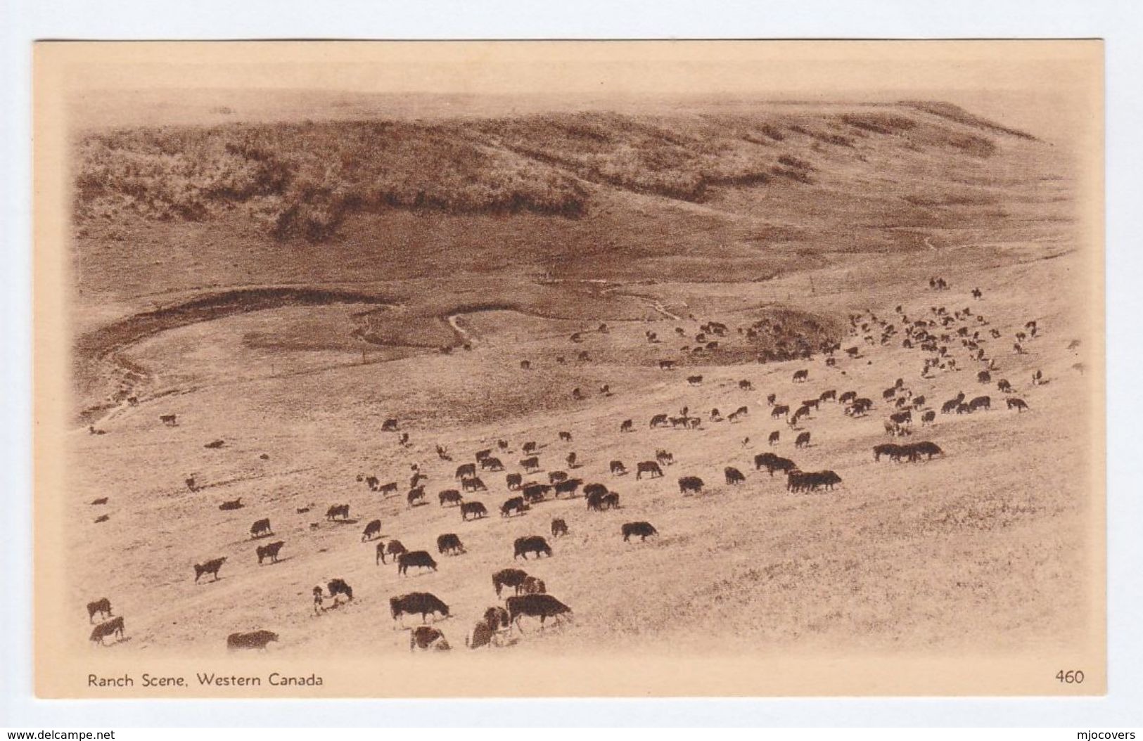 1930 CANADA GV 2c STATIONERY VIEW Illus RANCH SCENE WESTERN CANADA Postal Card Cattle Cow  Cover Stamps - 1903-1954 Kings