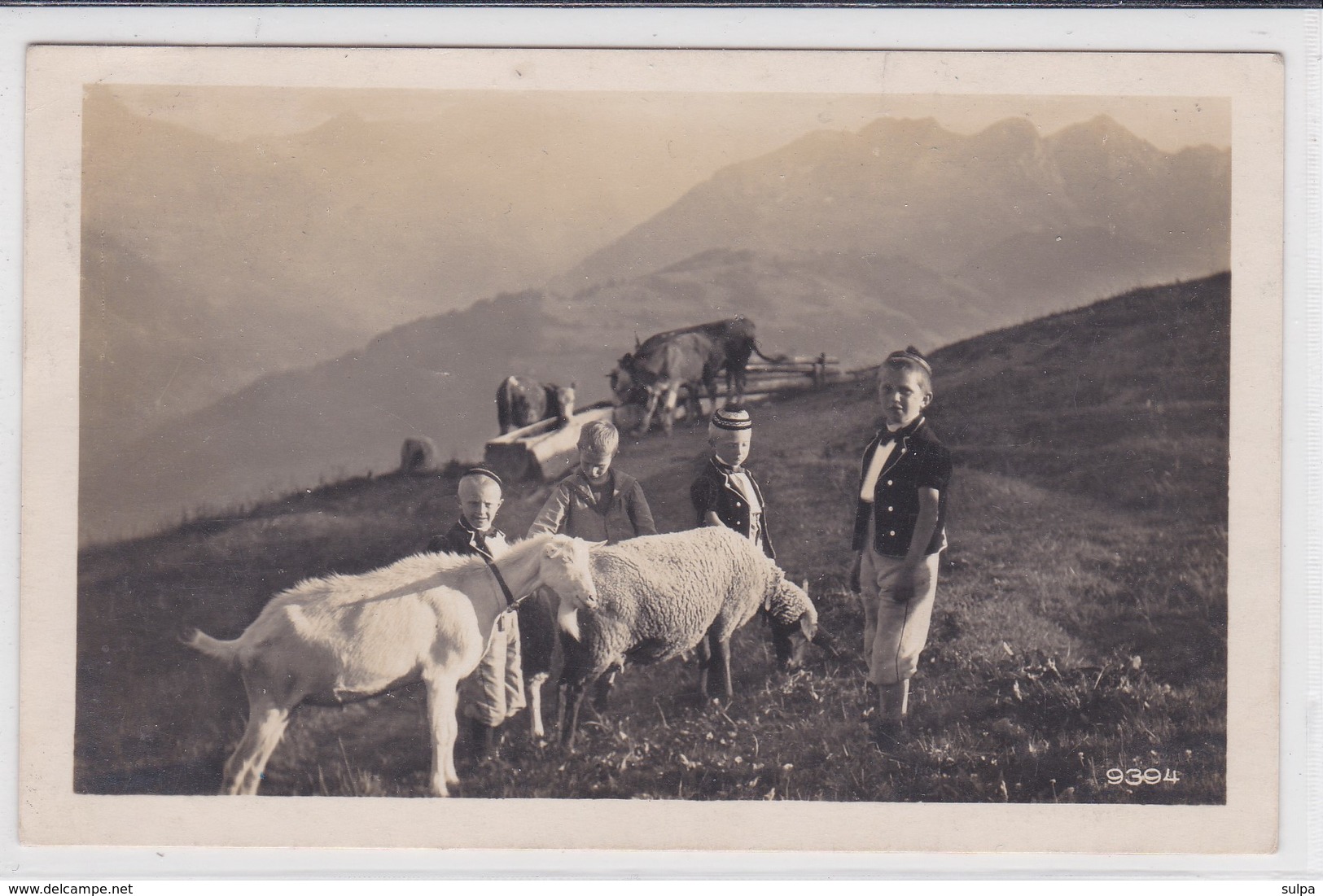 Alpage Vaches, Chèvre, Mouton, Enfants En Costumes De Pâtres - Elevage