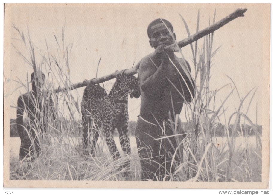 Cpsm CONGO BELGE - Retour De Chasse - Guépard - Congo Belge