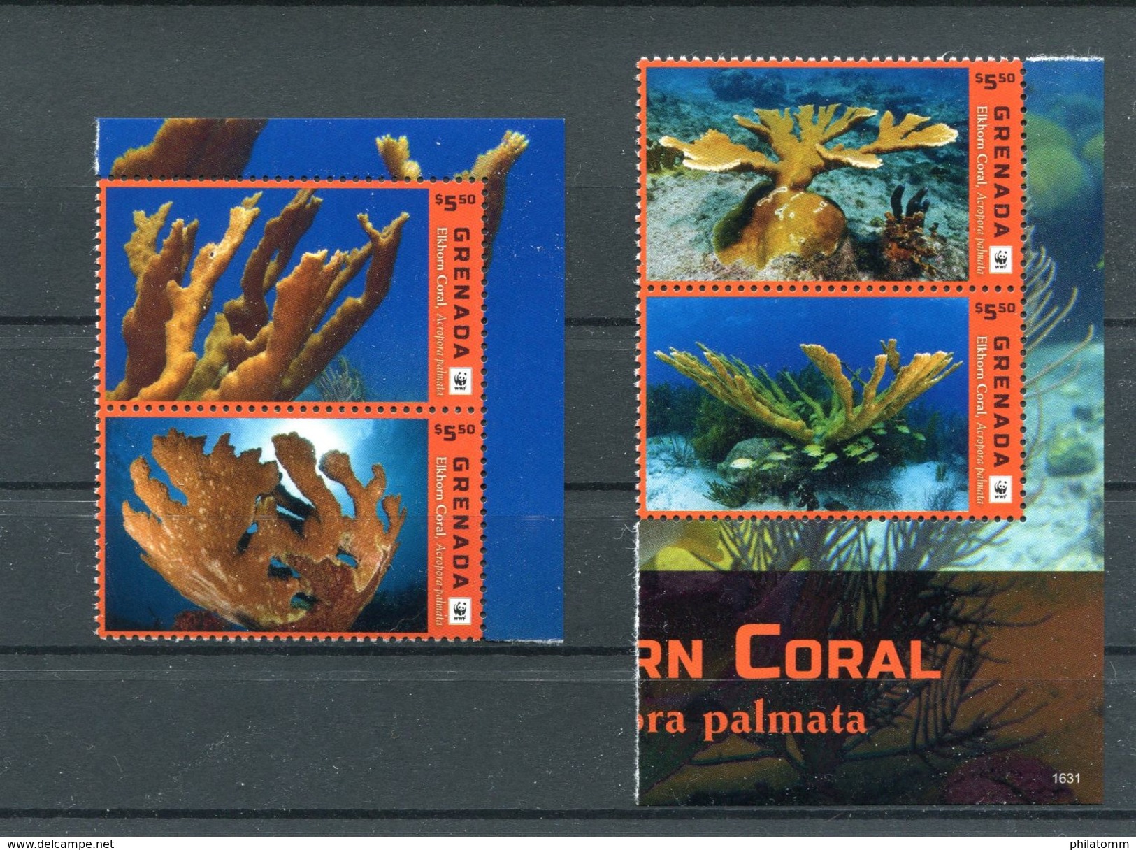 WWF - Grenada - MiNr. 7351 / 7354 - "Elchgeweihkoralle" ** / MNH (Jahr 2016) - Ungebraucht