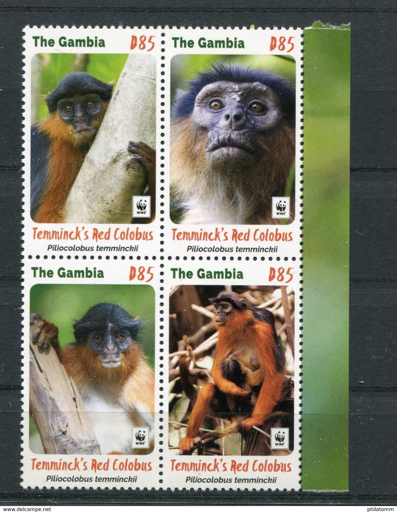 WWF - Gambia - MiNr. 7335 / 7338 I - "Temminck-Stummelaffe" ** / MNH (aus Dem Jahr 2016) - Ungebraucht