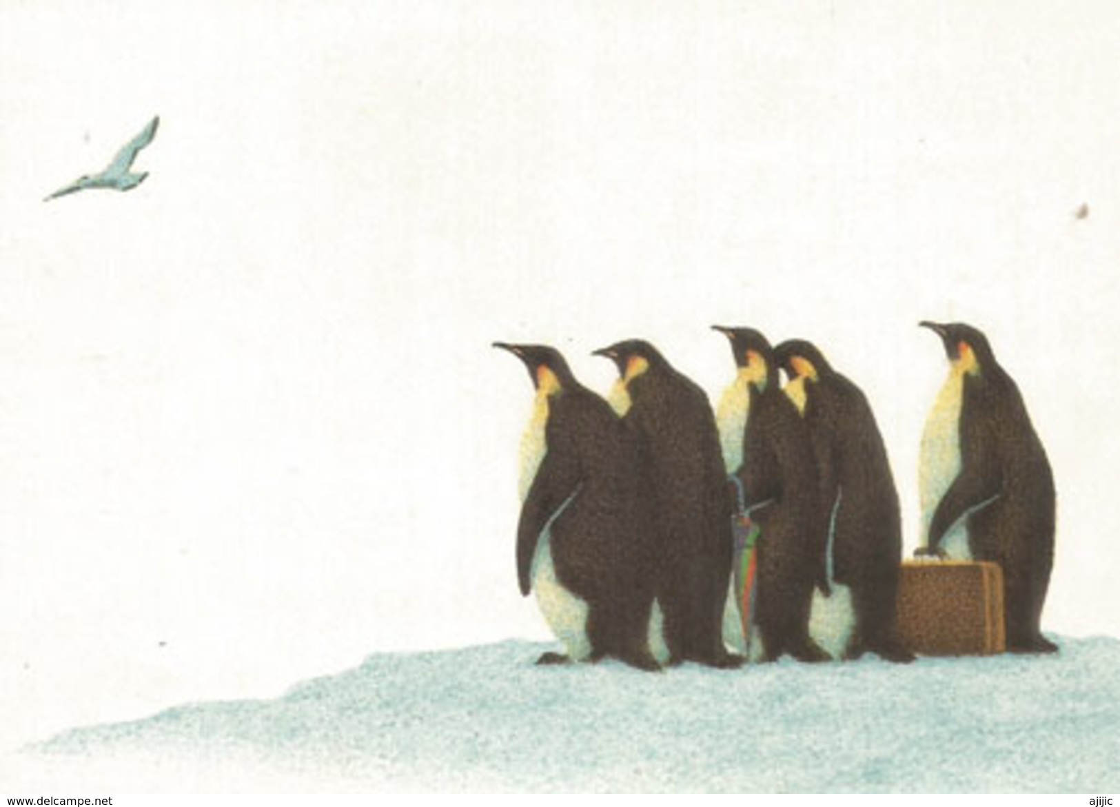 "Bien Habillé" Avec Bagage,pinguins Empereurs Partant En Voyage, Carte Affranchie Avec Timbre German Reinheitsgebot Bier - Monde
