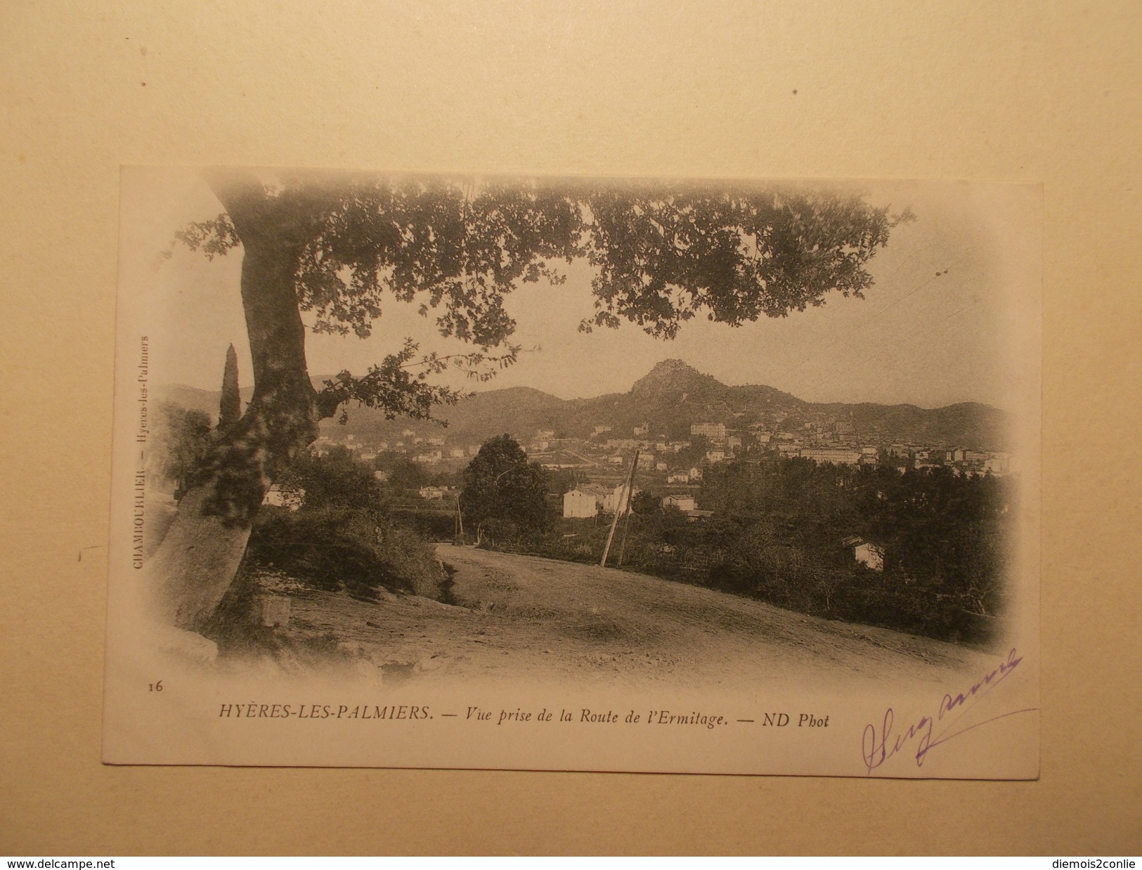 Carte Postale - HYERES (83) - Vue Prise De La Route De L'Ermitage (1570) - Hyeres