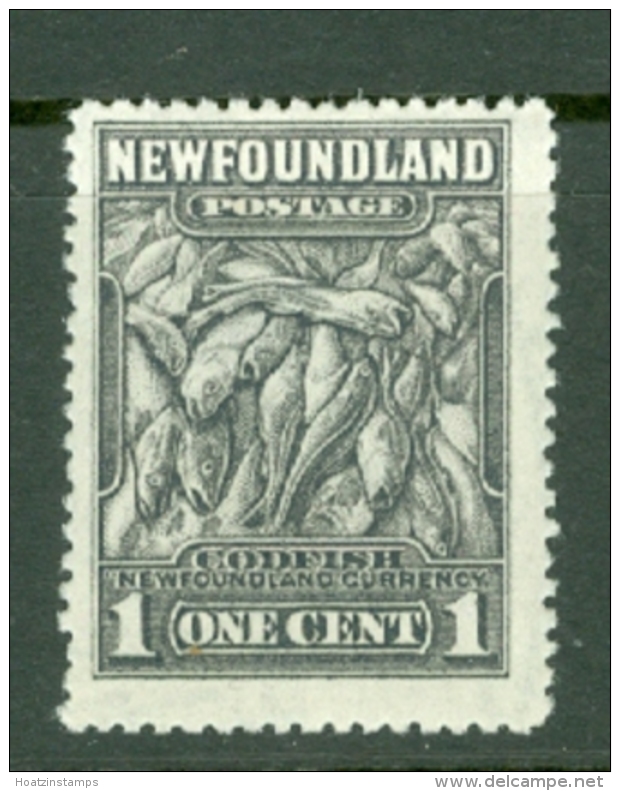 Newfoundland: 1932/38   Pictorial  SG222d     1c   [Perf: 14 Small Holes]   MH - 1908-1947