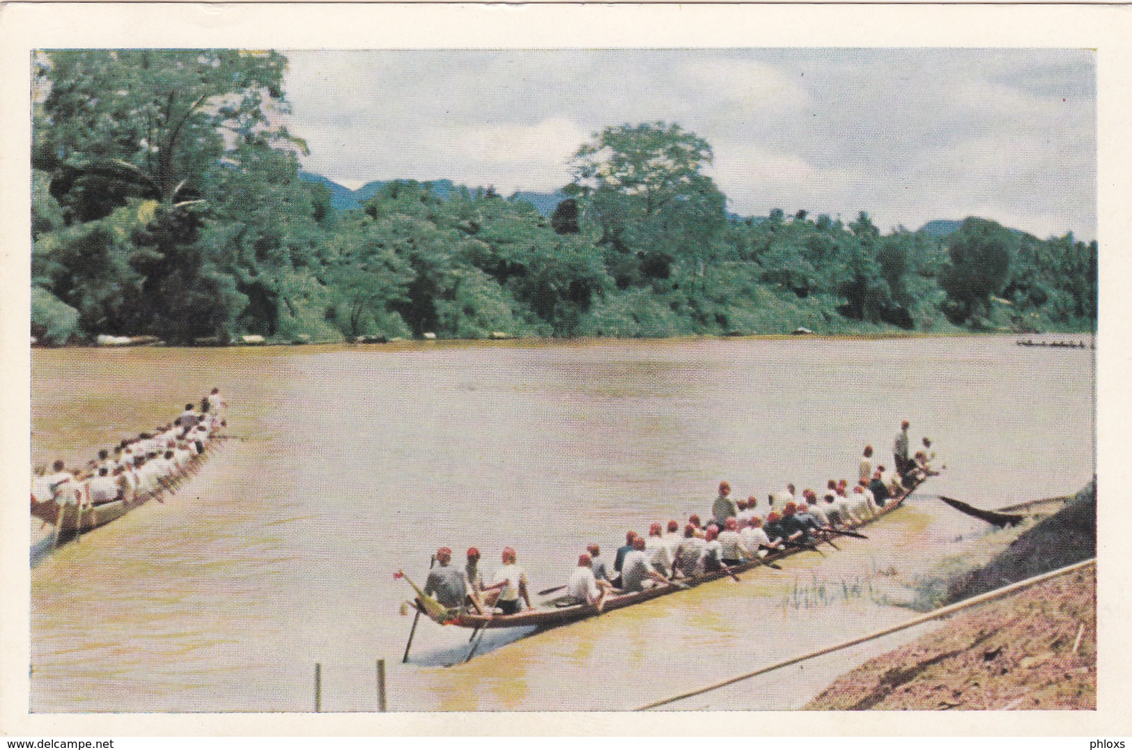 LAOS/ Luang-Prabang/ Course De Pirogues/ Réf:C5291 - Laos