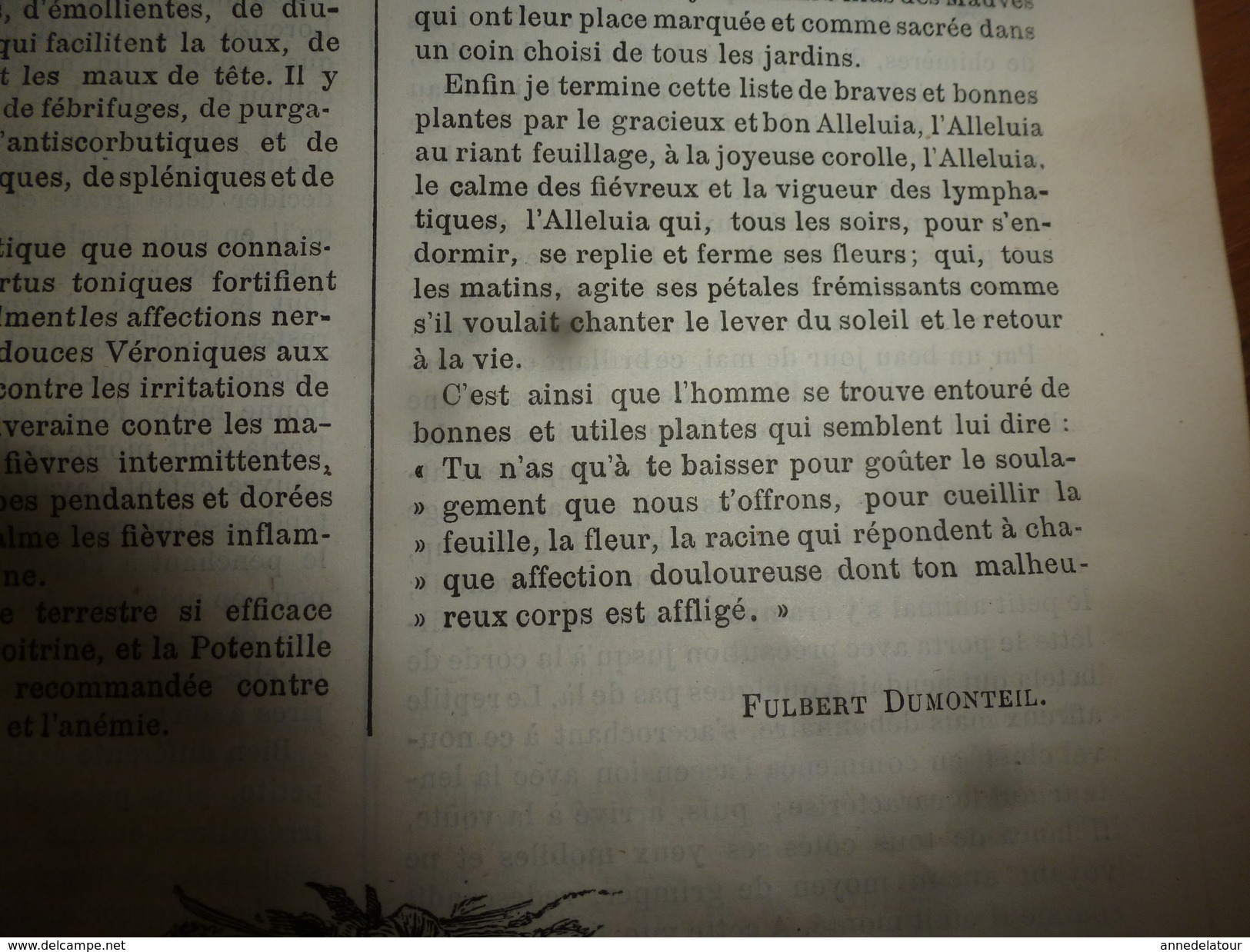 1883 JOURNAL DES DEMOISELLES  :Mémoires du comte de Ségur; L'arbre de BOSCOBEL ;Correspondance; Revue musicale ;etc