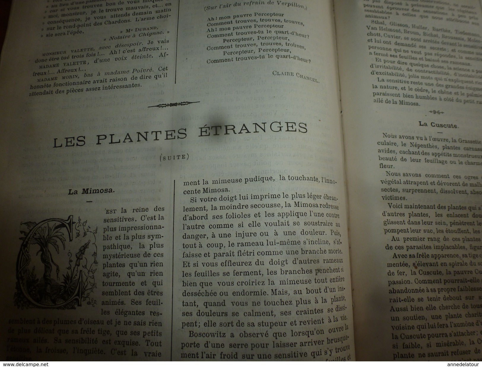 1883 JOURNAL DES DEMOISELLES :Mémoires Du Comte De Ségur;La Vie à Nancy;Plantes étranges (ortie,cuscute,figuier Maudit) - Non Classés