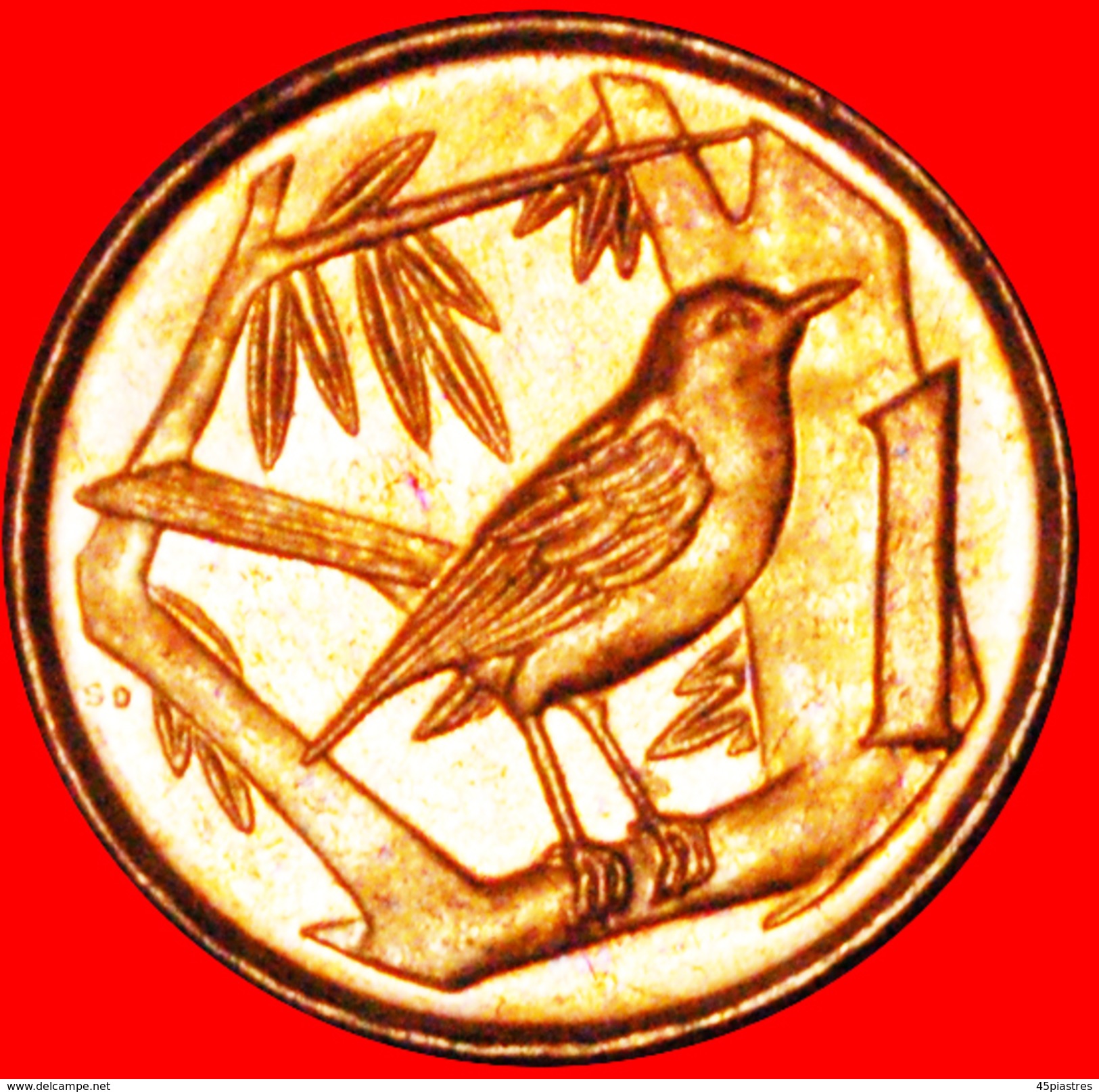 § BIRD: CAYMAN ISLANDS &#x2605; 1 CENT 1999 MINT LUSTER! LOW START&#x2605; NO RESERVE! - Cayman Islands