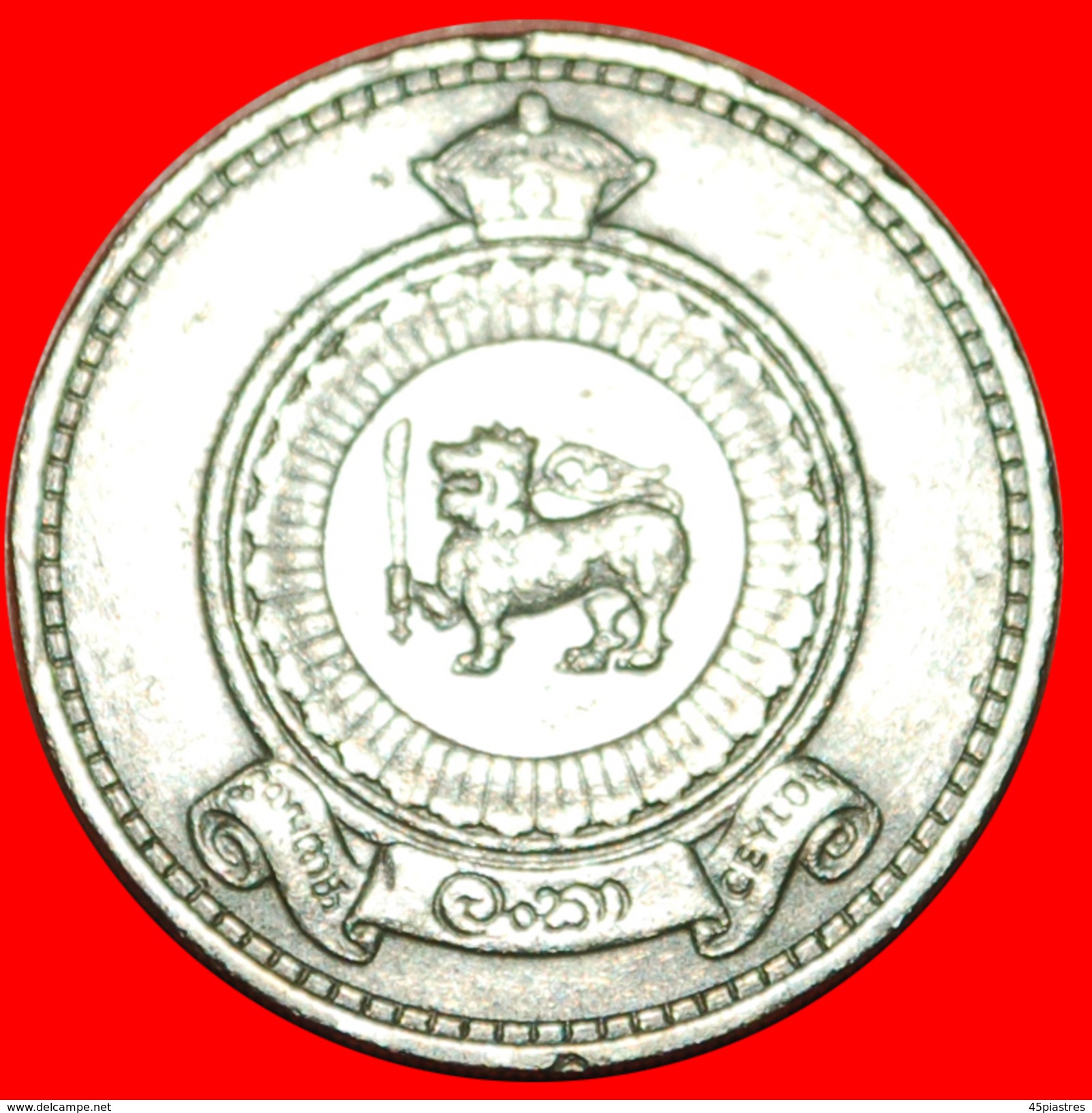 • BRITISH COMMONWEALTH LION: CEYLON ★ 50 CENTS 1963! LOW START&#x2605; NO RESERVE! - Sri Lanka