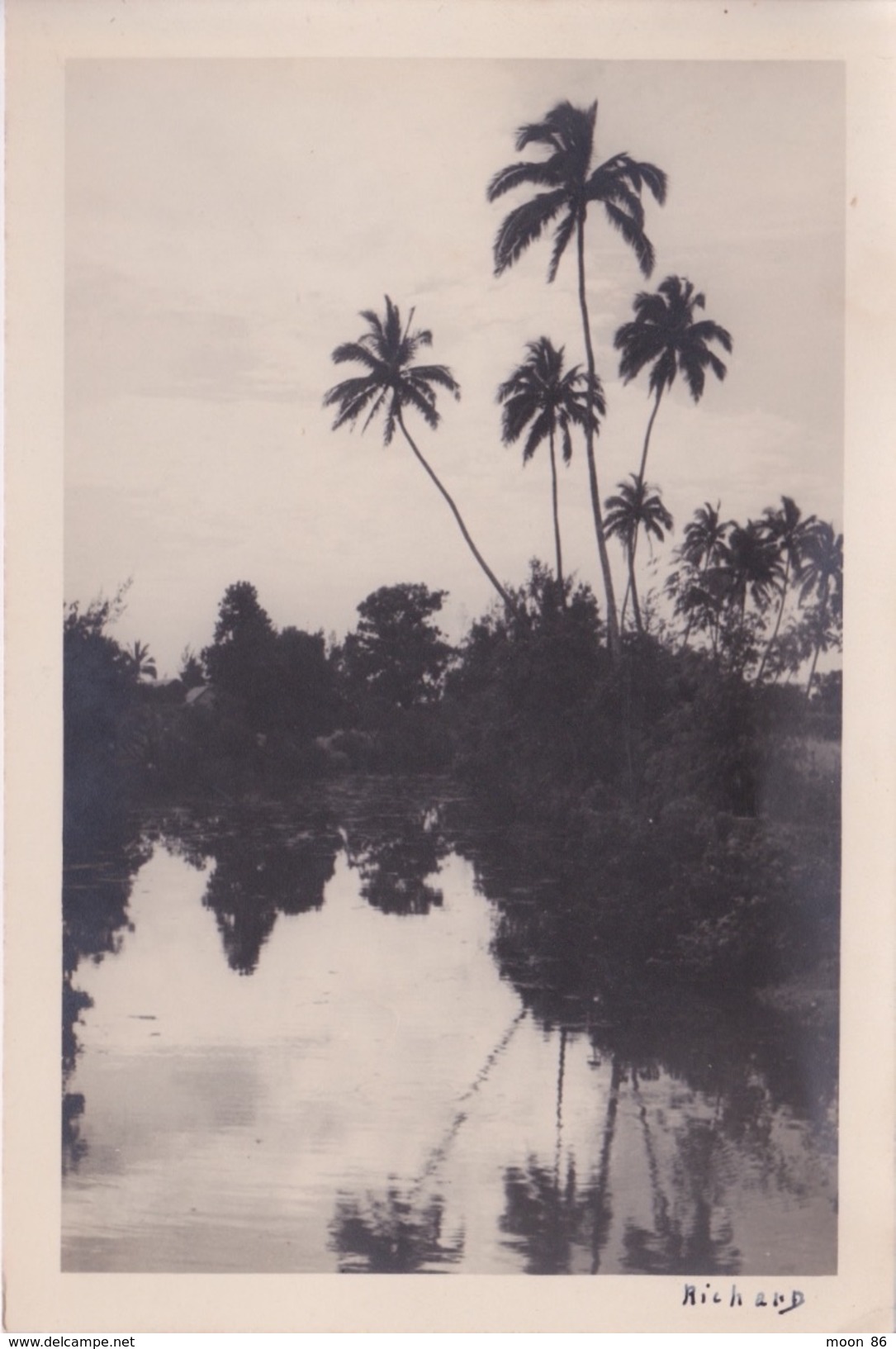 974 - Ile De La Réunion - Photographie  Signée RICHARD - étang De SAINT PAUL - Saint Paul