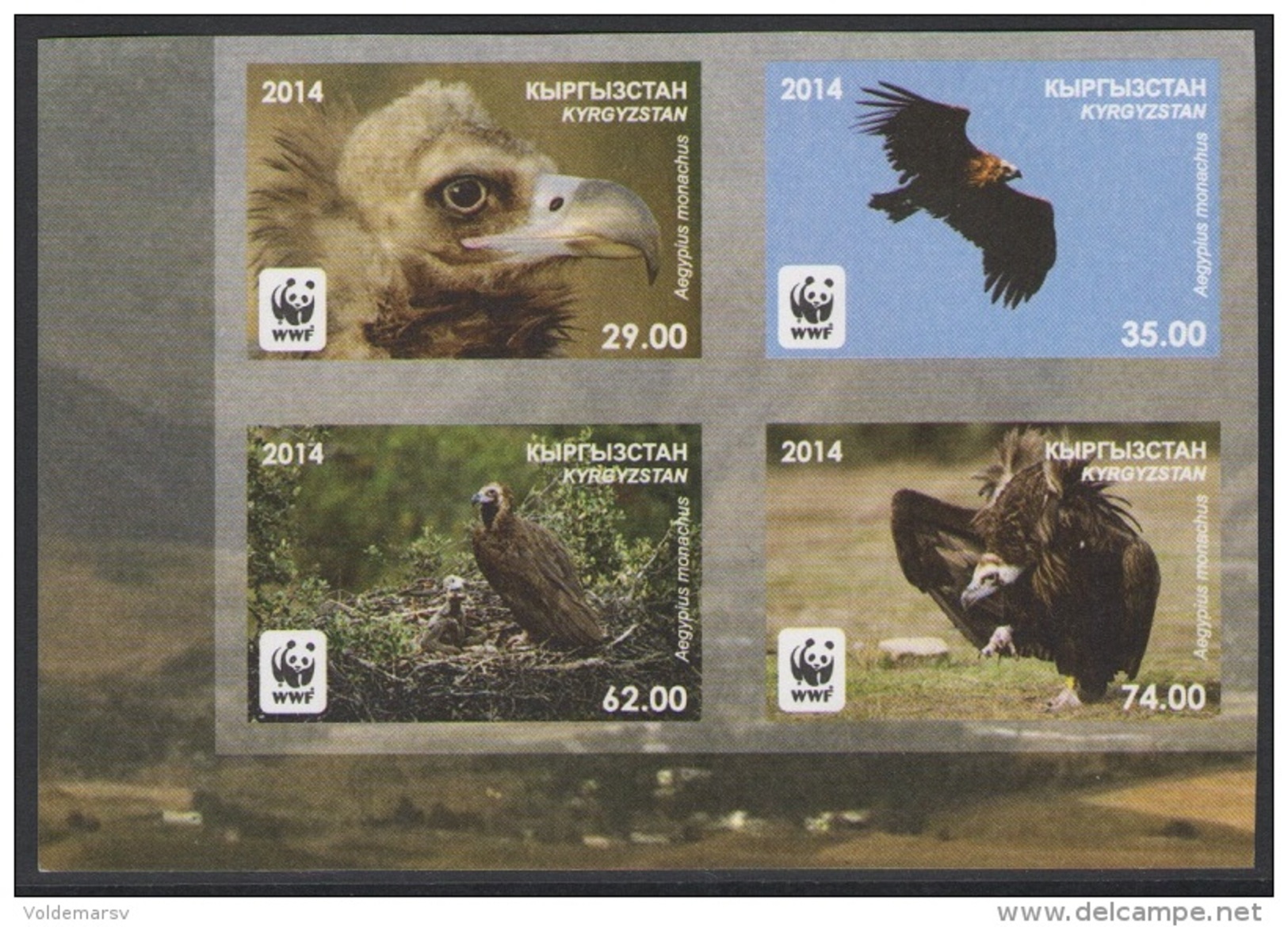 SALE! SUPER PRICE! Kyrgyzstan 2014 Mih. 785B/88B WWF. Fauna. Birds. Cinereous Vulture (block Of 4) (imperf) MNH ** - Kirghizistan