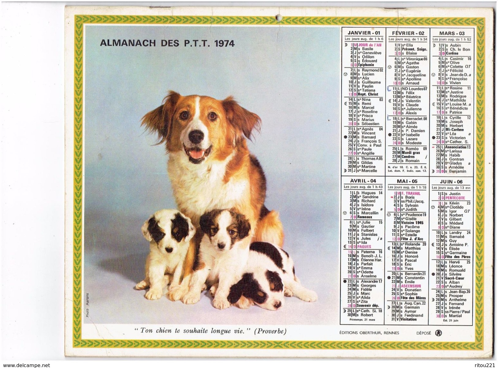 Grand Calendrier Almanach P.T.T. Facteur - 1974 - Bébé Garçon Petite Chèvre Biquette Raisin / Chien Et Ses Chiots - - Grand Format : 1971-80