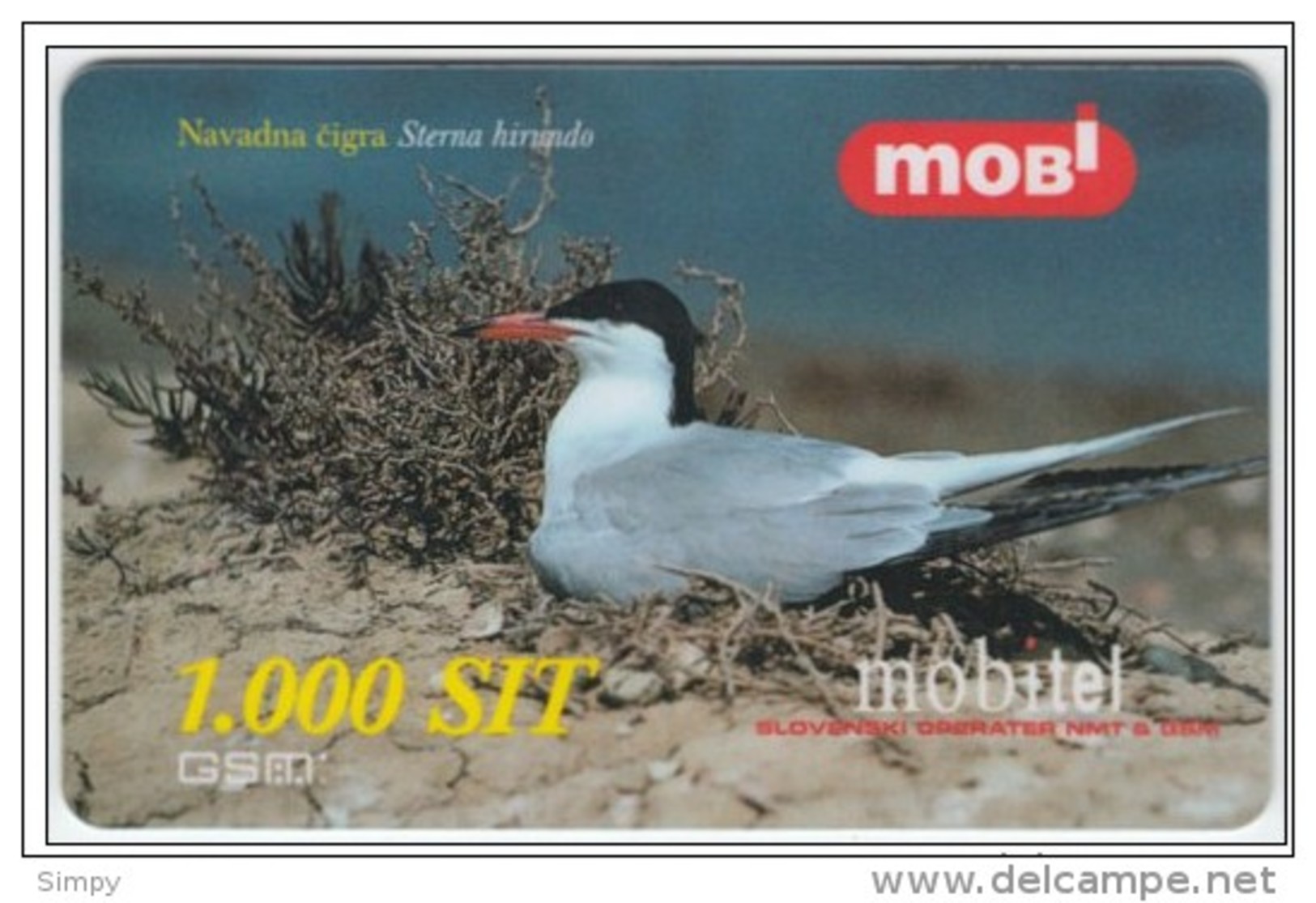 SLOVENIA  Mobil Prepaid Card Bird, Common Tern Navadna Cigra Valid 31.12.2001 - Passereaux