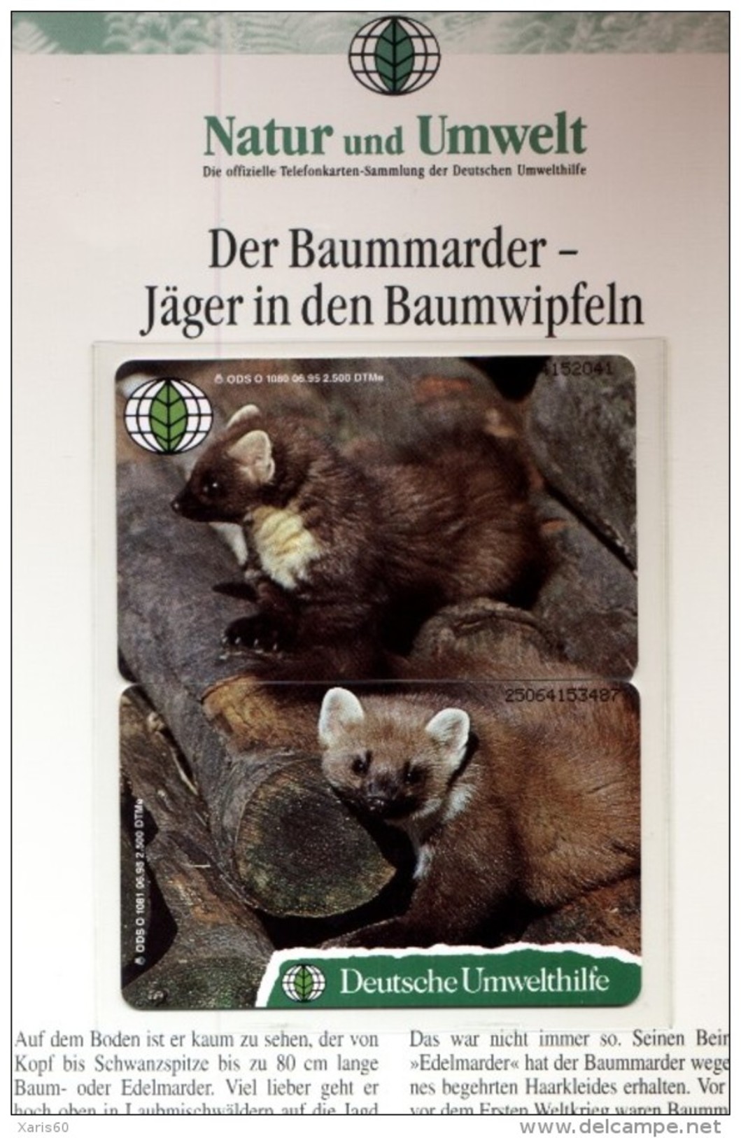 Deutsche Umwelthilfe: O-1080 & O-1081 06/95 PUZZLE "Der Baummarder" In Folder Rare (2.500 Ex) - O-Series : Customers Sets