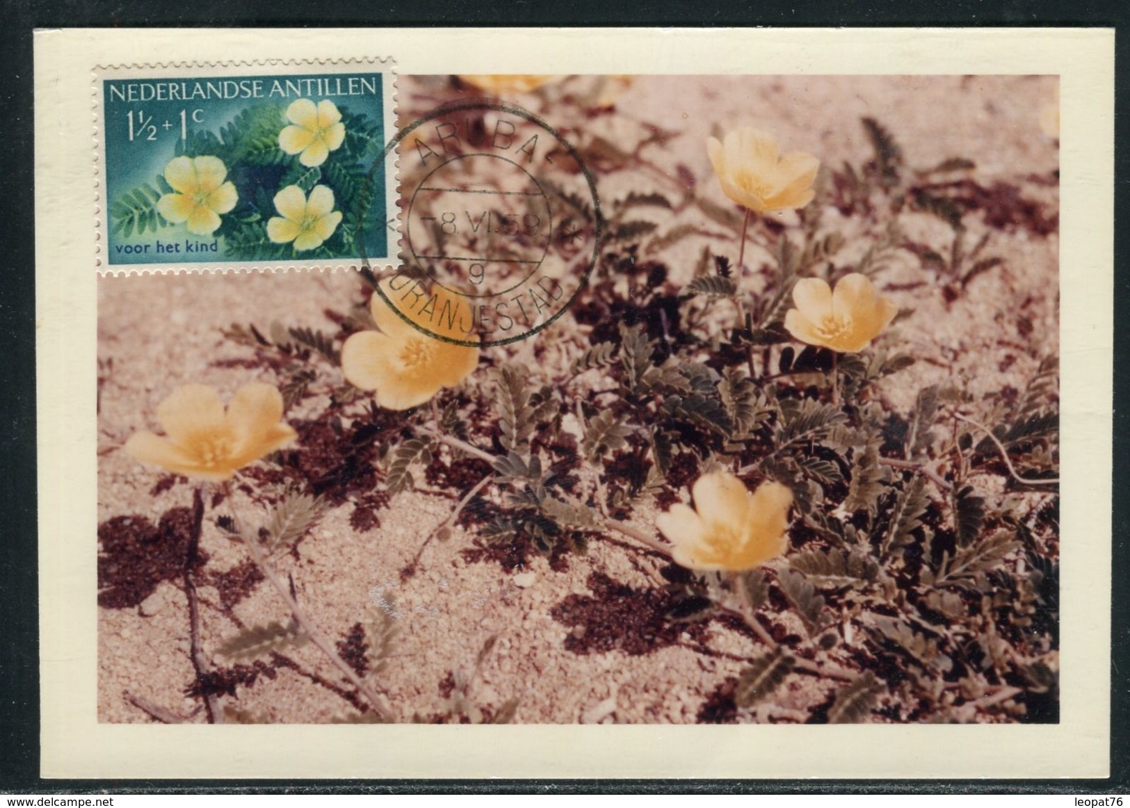 Antilles Néerlandaises - Carte Maximum 1959 - Fleurs - Curaçao, Antille Olandesi, Aruba