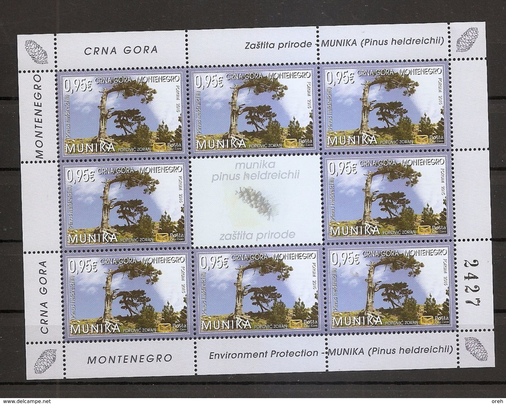 MONTENEGRO 2015,FLORA,TREES,PINUS HELDREICHI,MNH - Montenegro