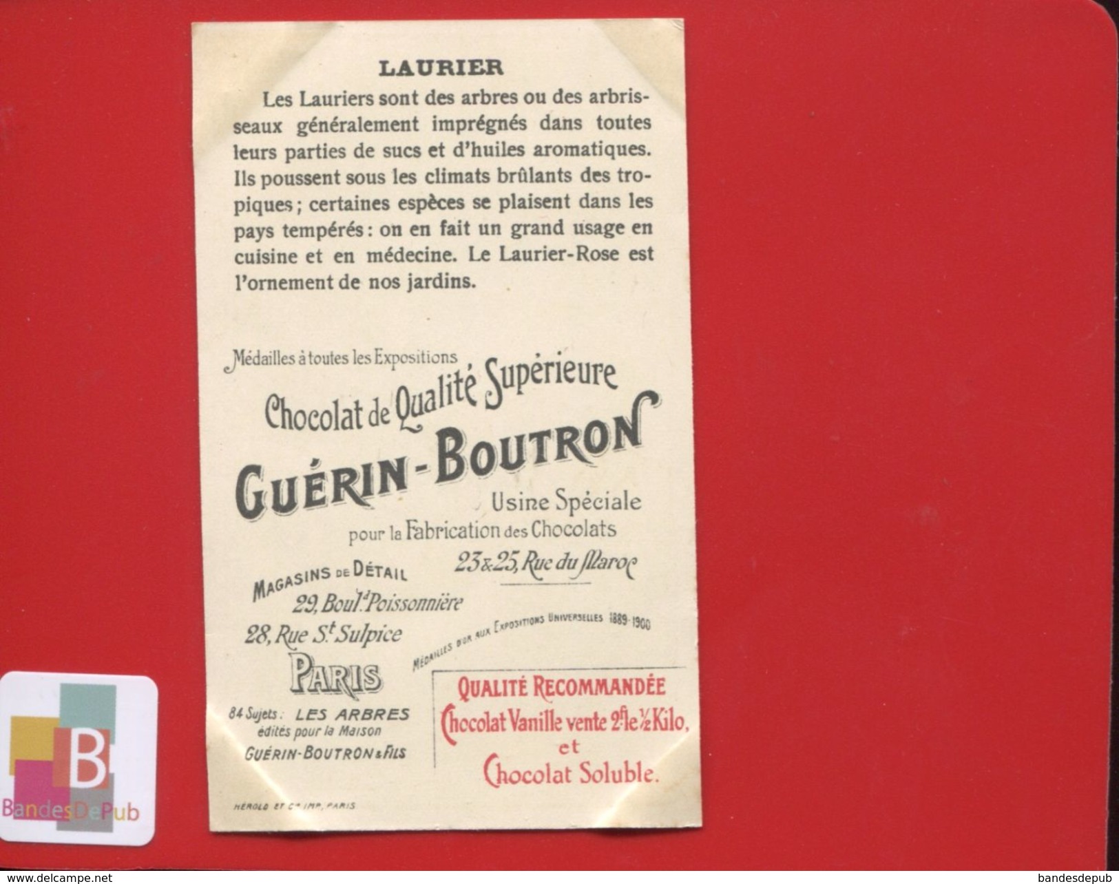 Chocolat Guérin Boutron  Chromo Didactique Hérold ARBRE PLANTE LAURIER CUISINIER CUISINE MEDECINE - Guerin Boutron