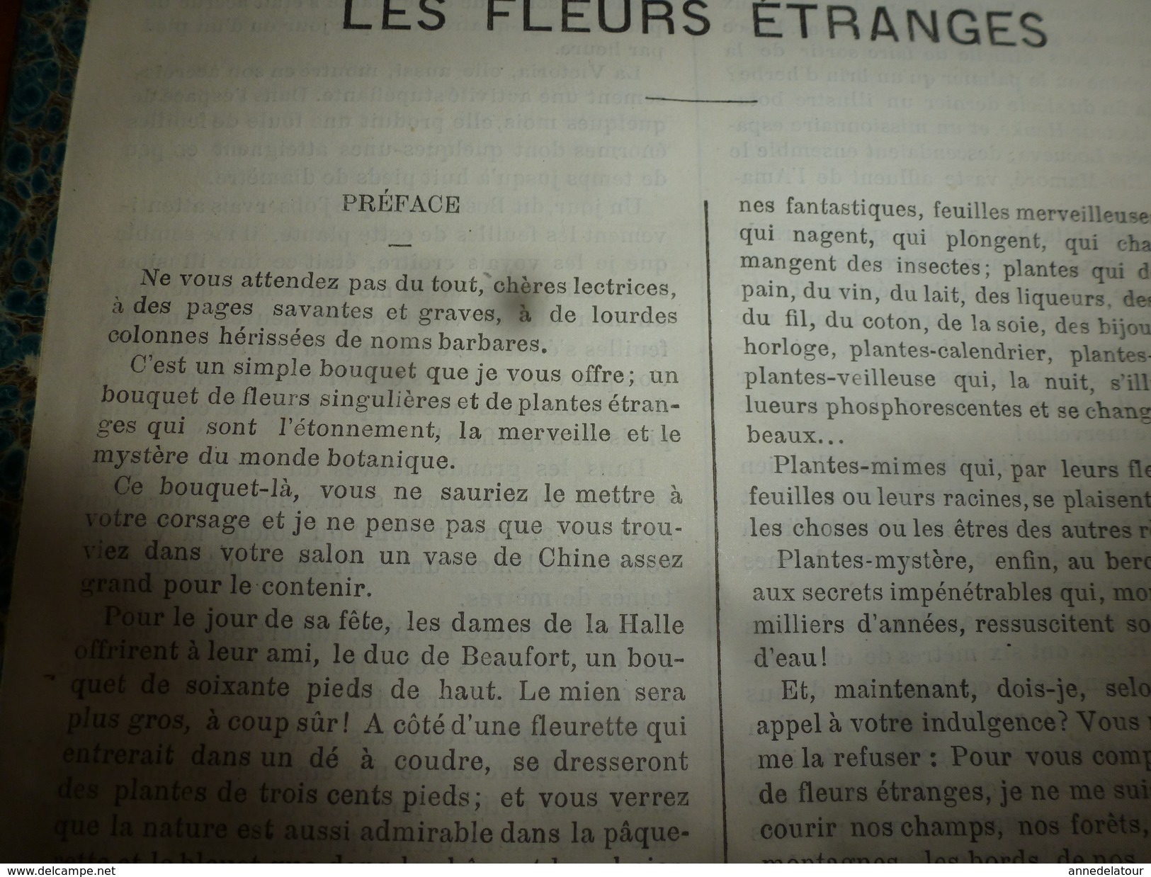 1882 JOURNAL DES DEMOISELLES : Gravures De La Mode De Paris ;Fleurs étranges; Porte-Bonheur Et Porte-Veine; Etc - Autres & Non Classés