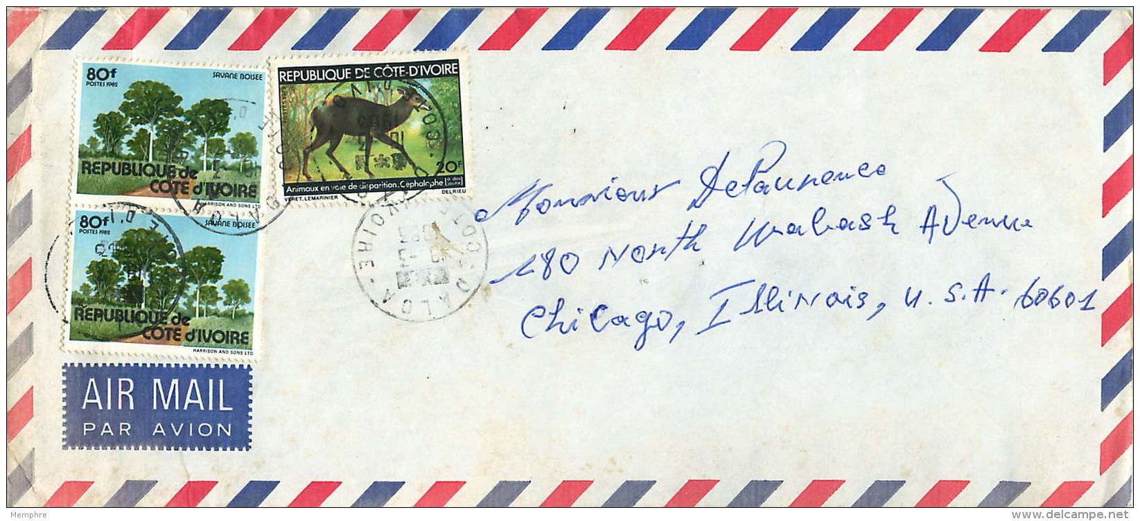 1982 Lettre Avion  Pour Les USA   Savane Boisée  80 Fr X2,  Céphalophe, - Côte D'Ivoire (1960-...)