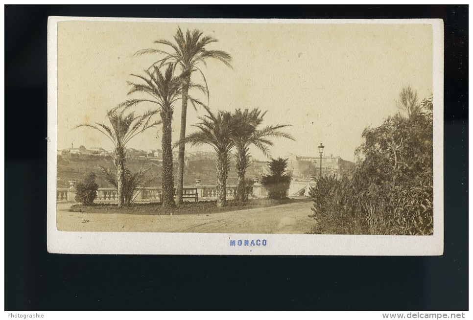 Monaco Palmiers Ancienne Photo CDV Davanne &amp; Aleo 1870 - Old (before 1900)