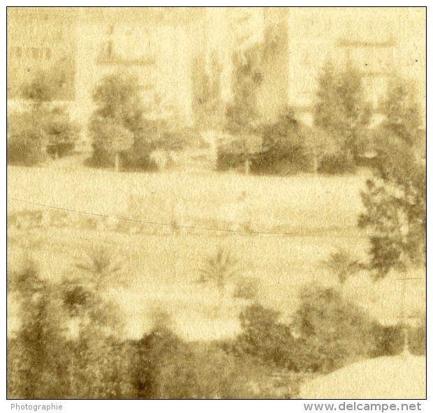 France Nice Paillon Jardin Public Baie Des Anges Panorama Ancienne Photo CDV 1870 - Old (before 1900)