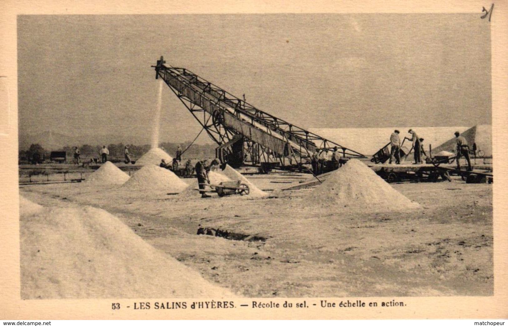 LES SALINS D'HYERES -83- RECOLTE DU SEL - UNE ECHELLE EN ACTION - Hyeres