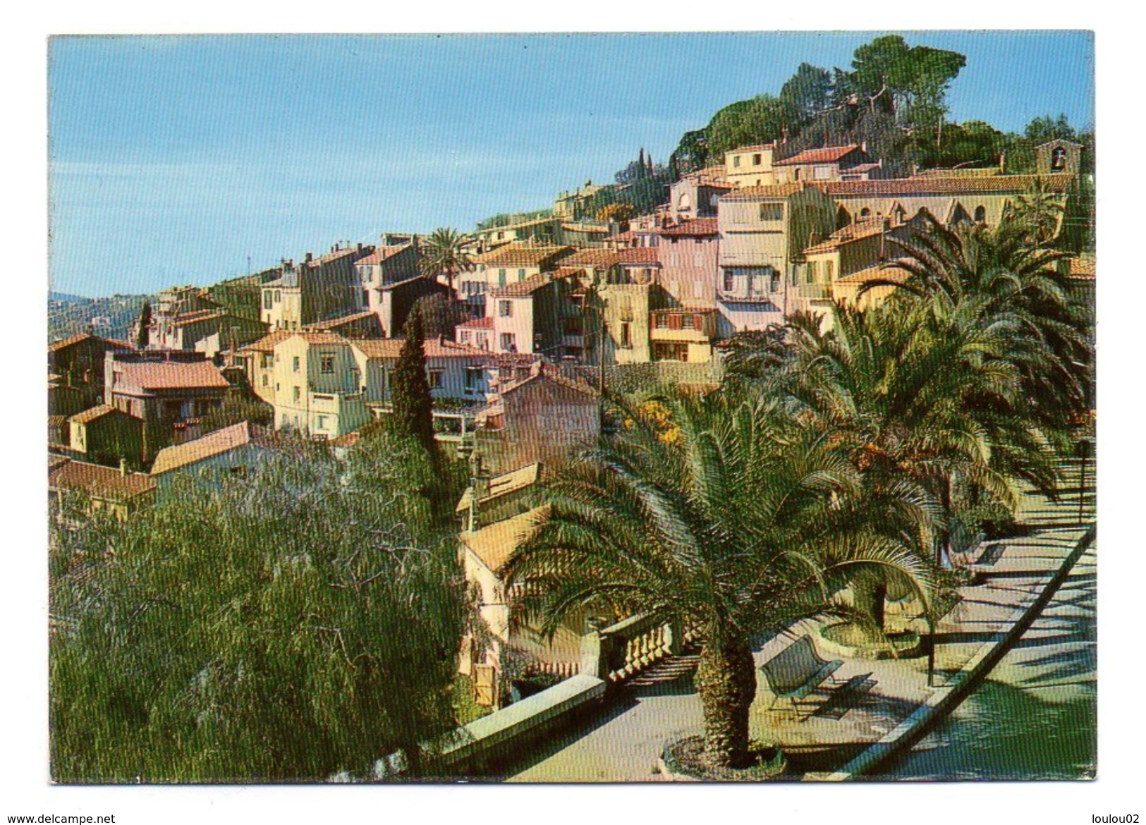 83 - BORMES LES MIMOSAS - Plameraie Menant Au Village - Très Bon état - Bormes-les-Mimosas