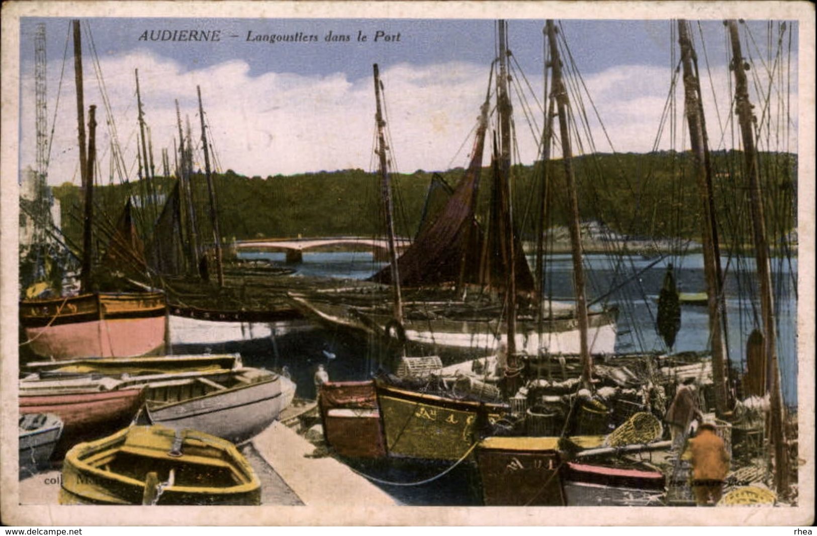 29 - AUDIERNE - Port - Langoustiers - Audierne