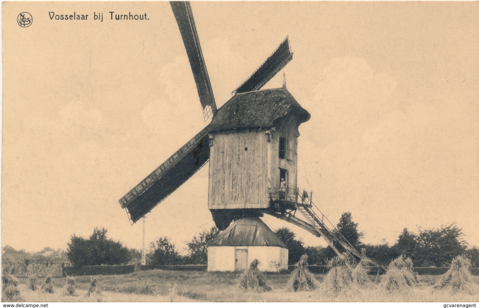 VOSSELAAR ) DE MOLEN - Vosselaar