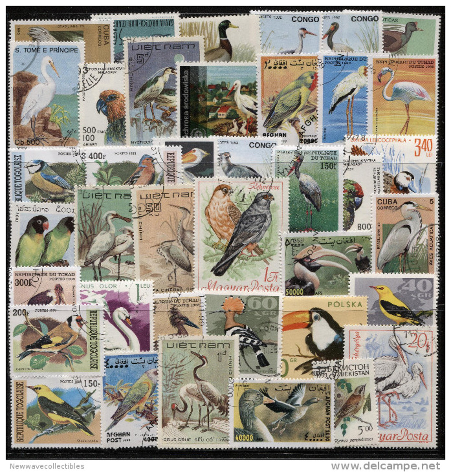 Birds On Lot Of 100 All Different Large Postage Stamps, Many Countires, Used In Good Codition. - Other & Unclassified